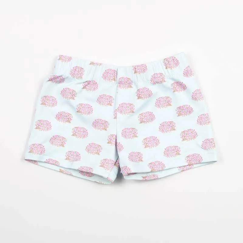 Boxer licra erizos