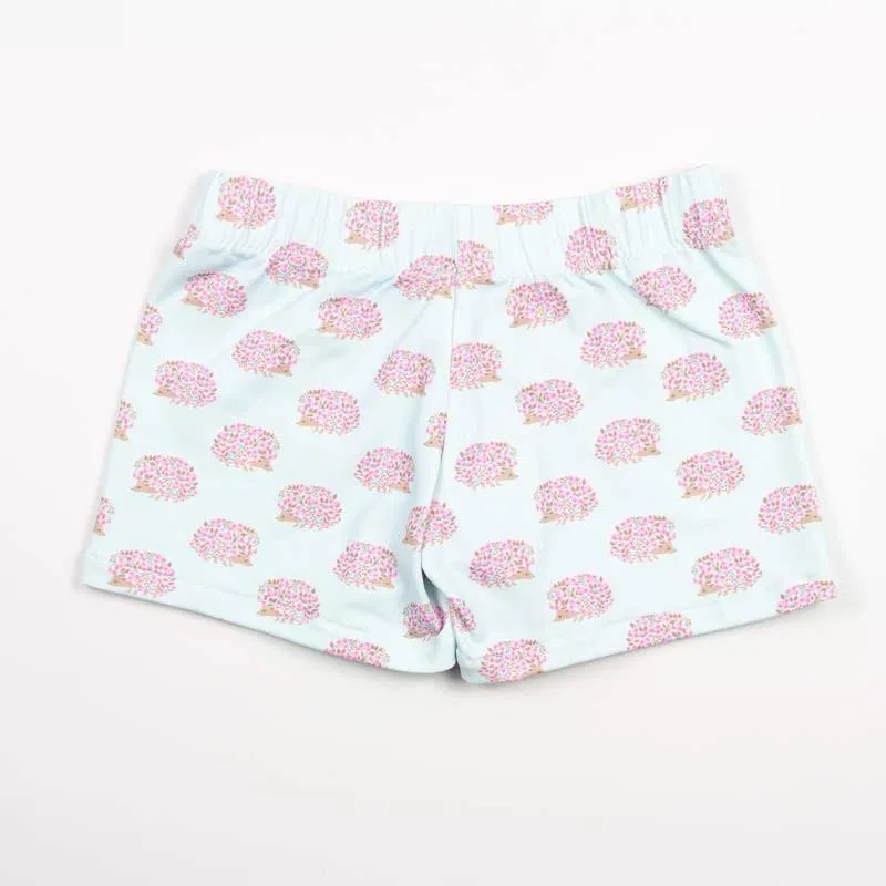 Boxer licra erizos