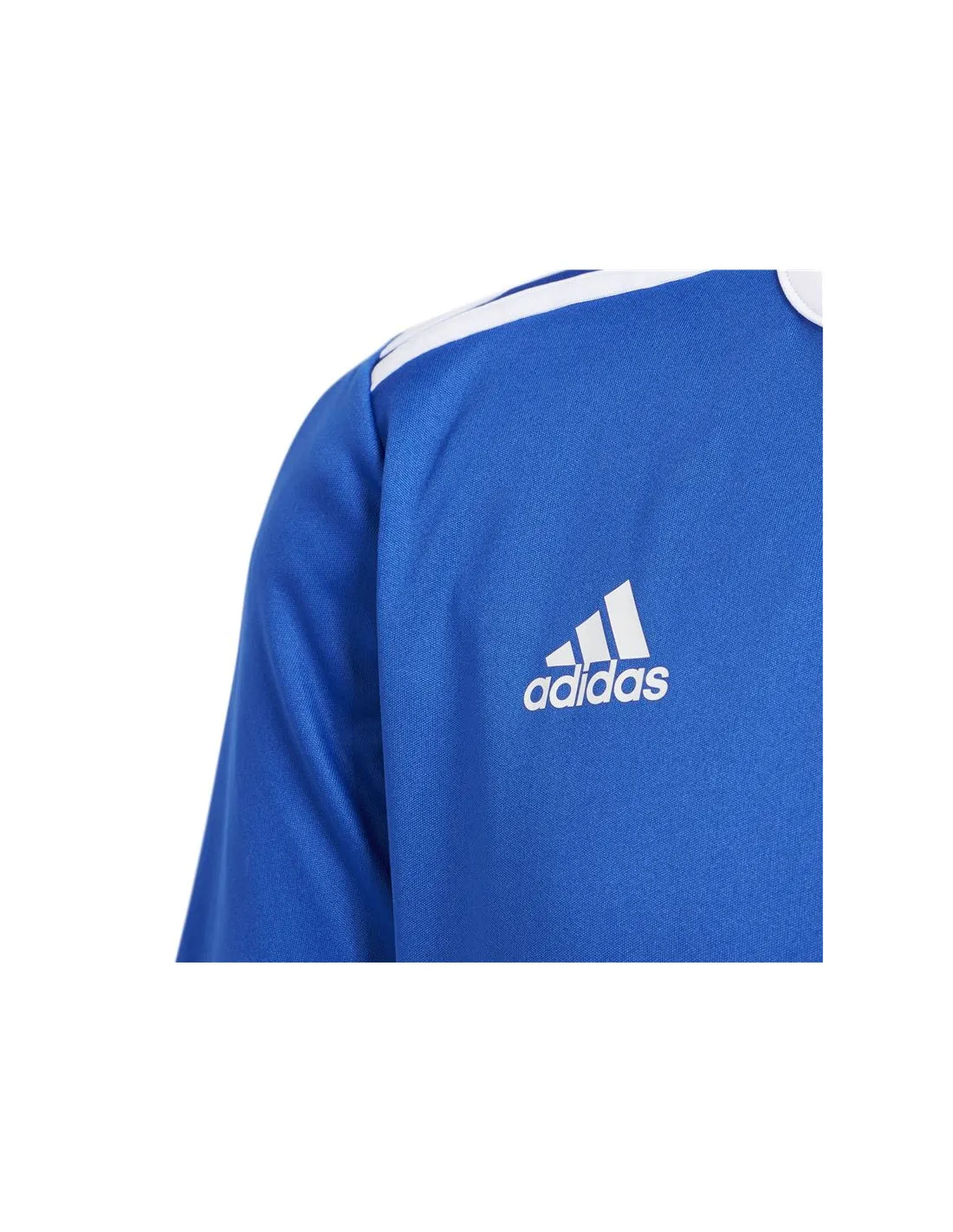 Camiseta fútbol adidas Entrada Jr Blue