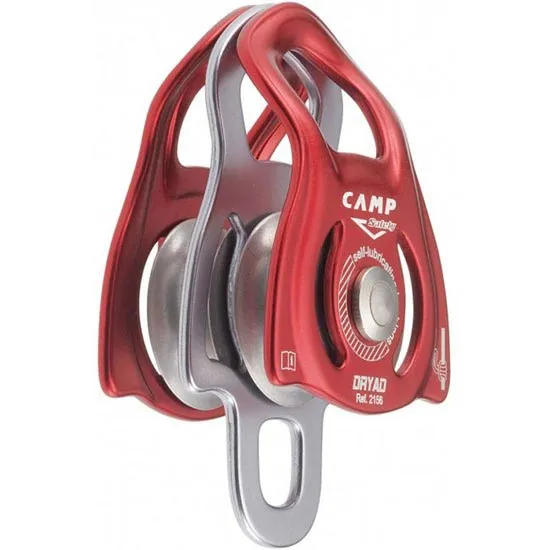 camp safety Dryad