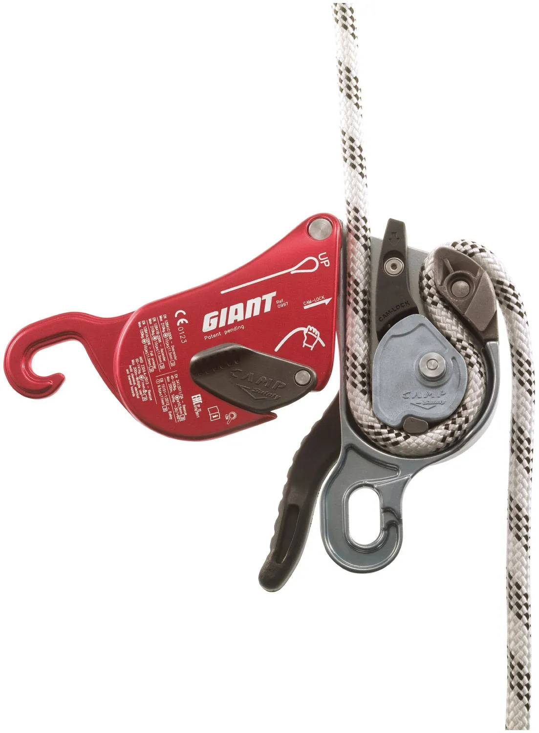 camp safety Giant