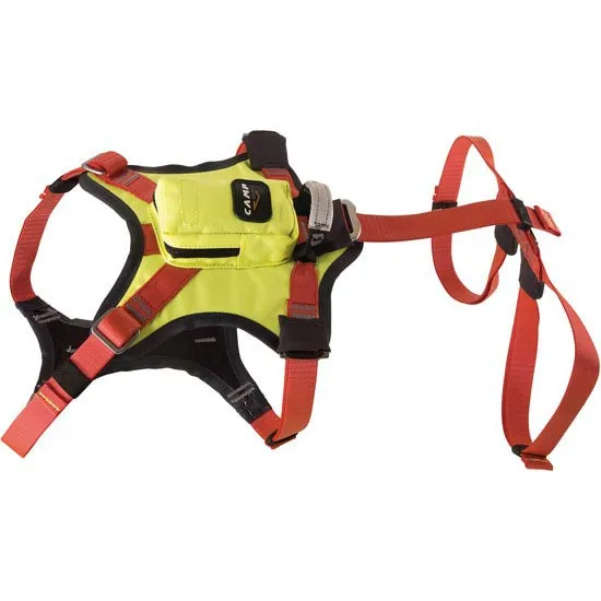camp safety Kronos