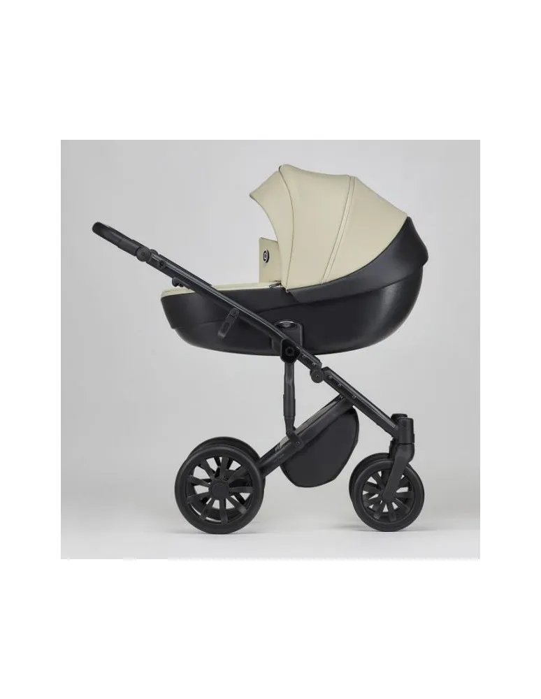 CARRO 2/1 M/TYPE SAGE ANEX