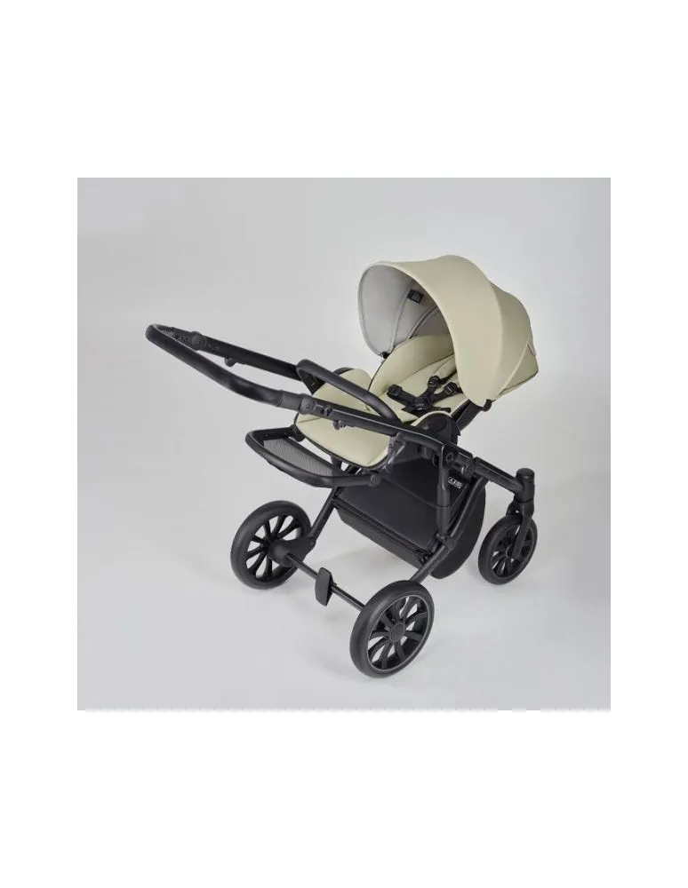 CARRO 2/1 M/TYPE SAGE ANEX