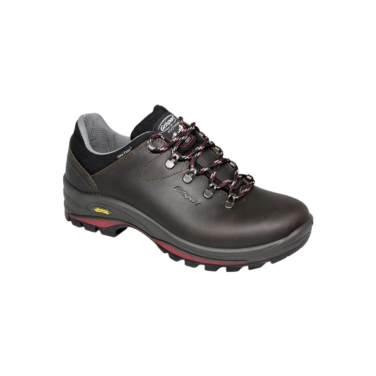 Dartmoor GTX