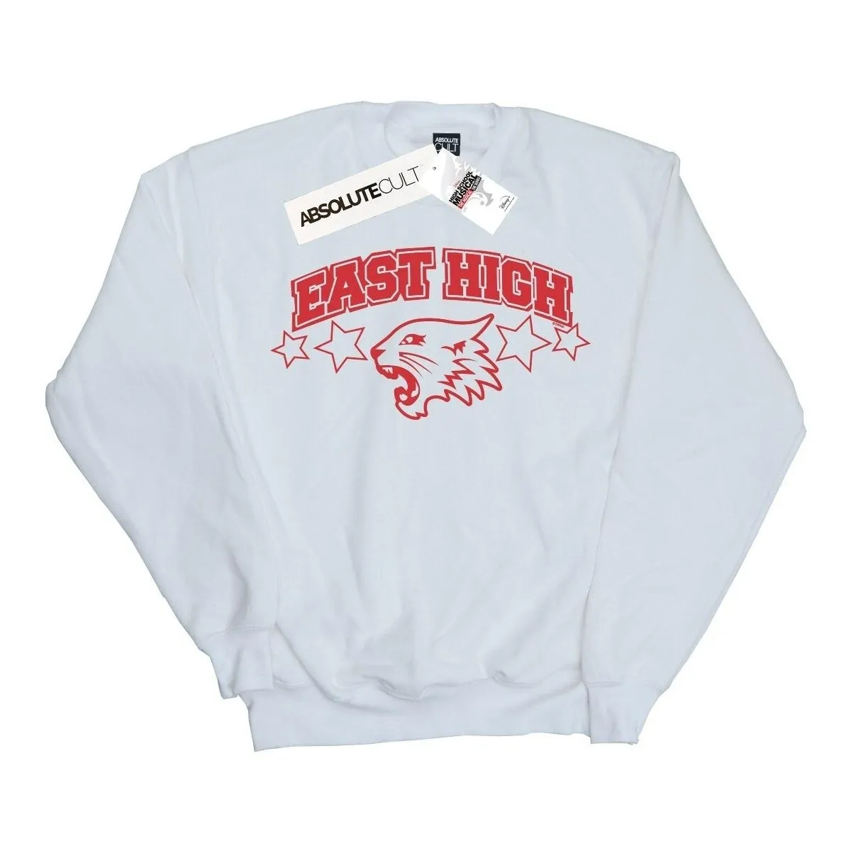 High School Musical The Musical Wildcat Stars