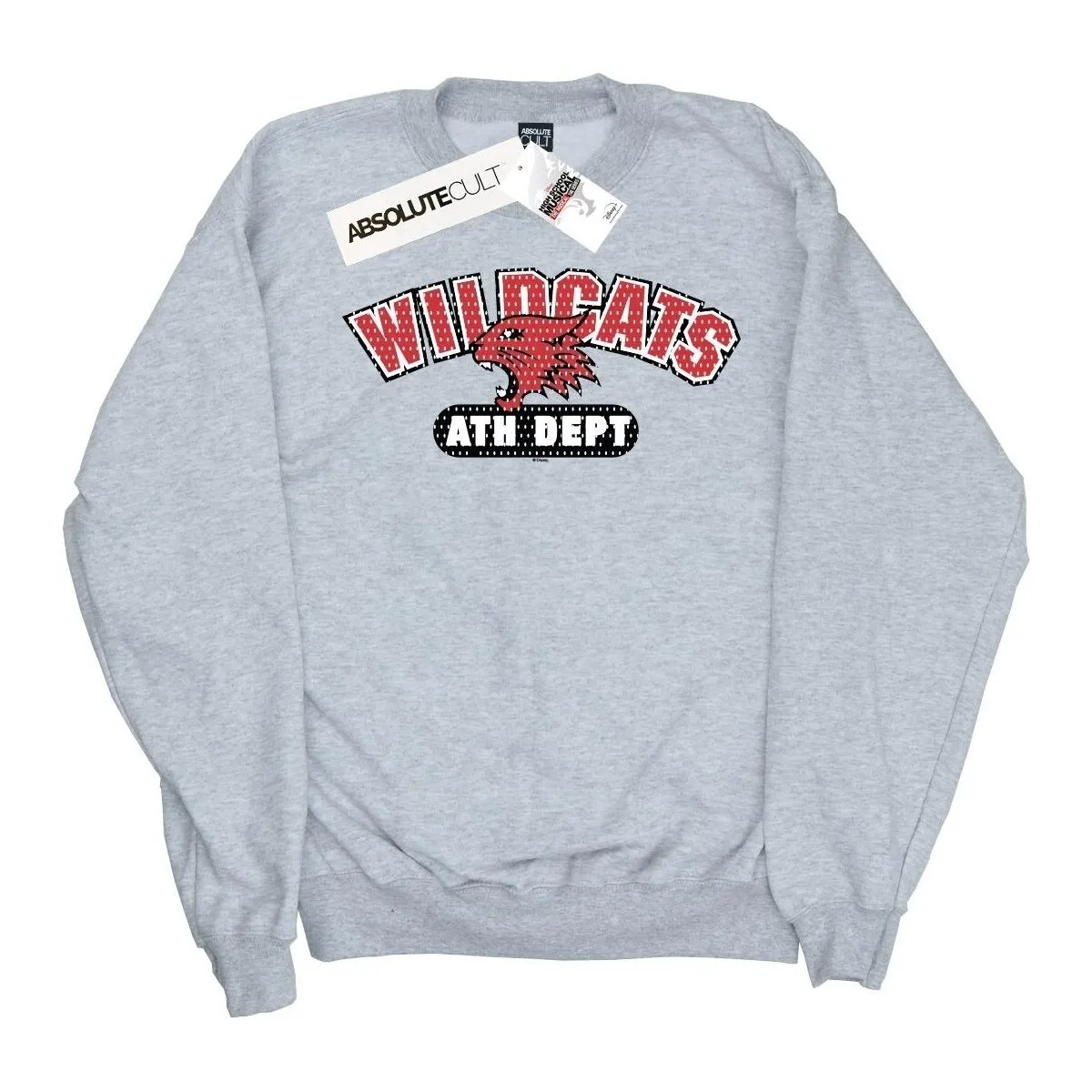 High School Musical The Musical Wildcats Athletic