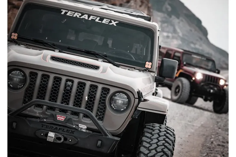 KIT AMORTIGUADORES TERAFLEX FALCON SP2 3.1 PIGGYBACK PETROL LIFT 23