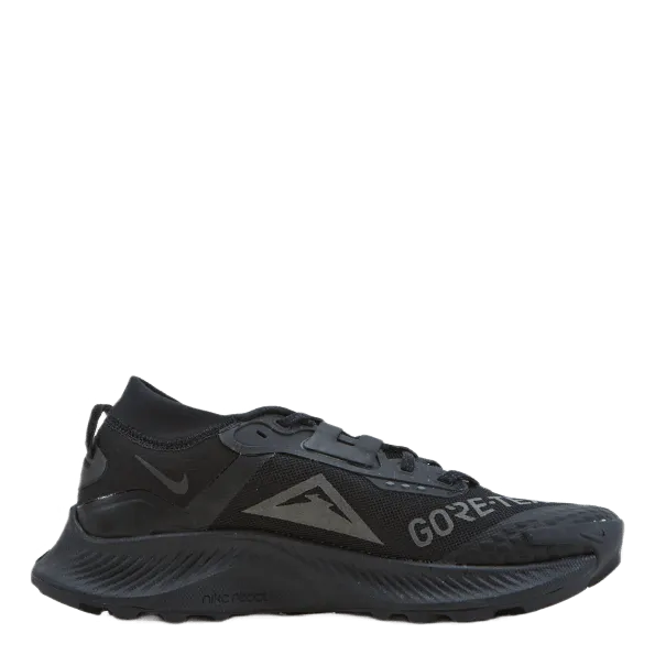 NIKE PEGASUS TRAIL 3 GORETEX MEN'S BLACK/BLACKDK SMOKE GREYIRON