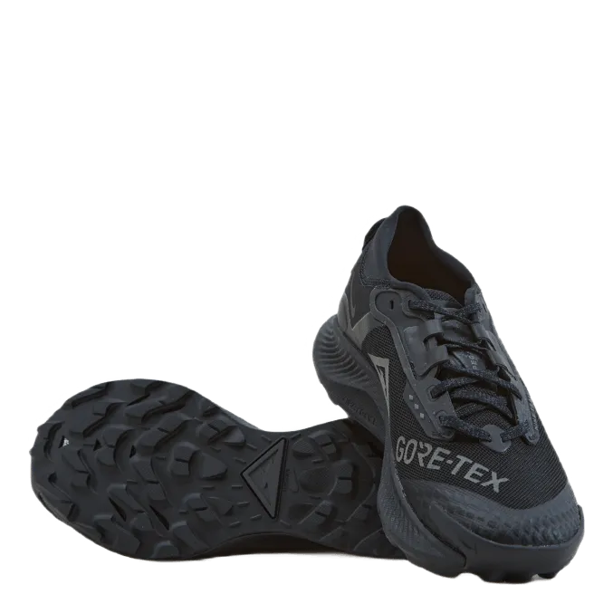 NIKE PEGASUS TRAIL 3 GORETEX MEN'S BLACK/BLACKDK SMOKE GREYIRON