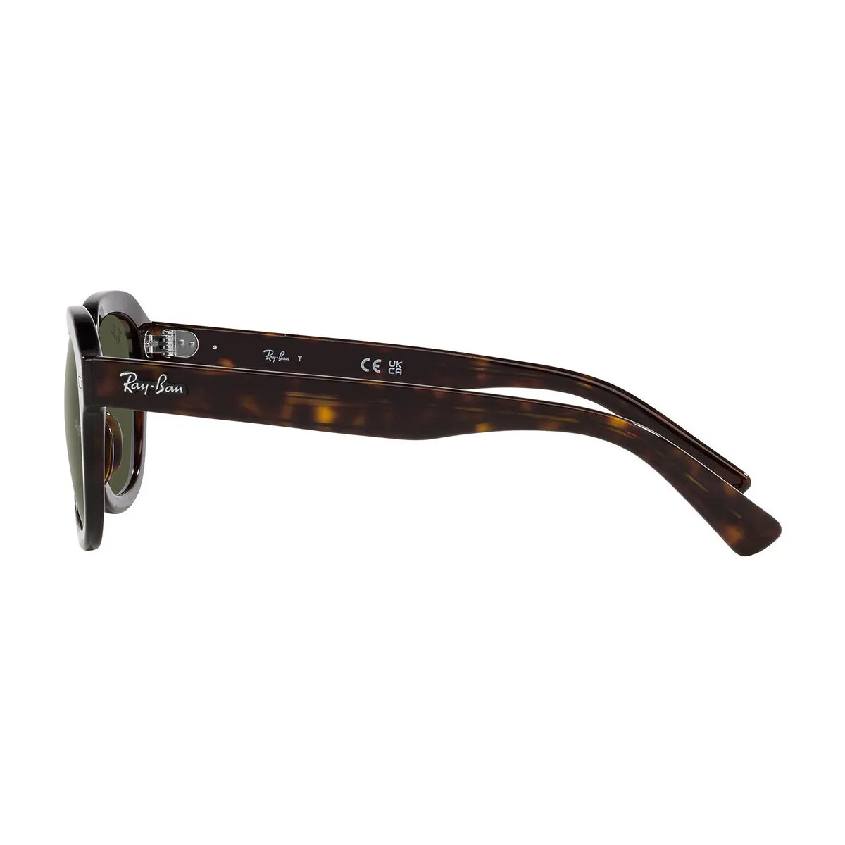 Occhiali da Sole  Erik RB4398 902/31