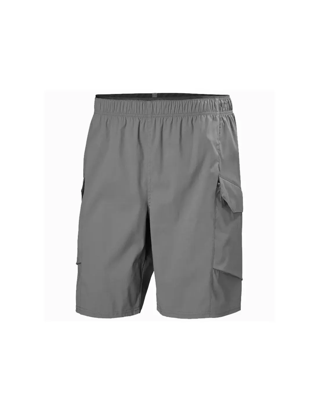 Pantalones de Montaña Helly Hansen Vista Hike Cargo Hombre Gris