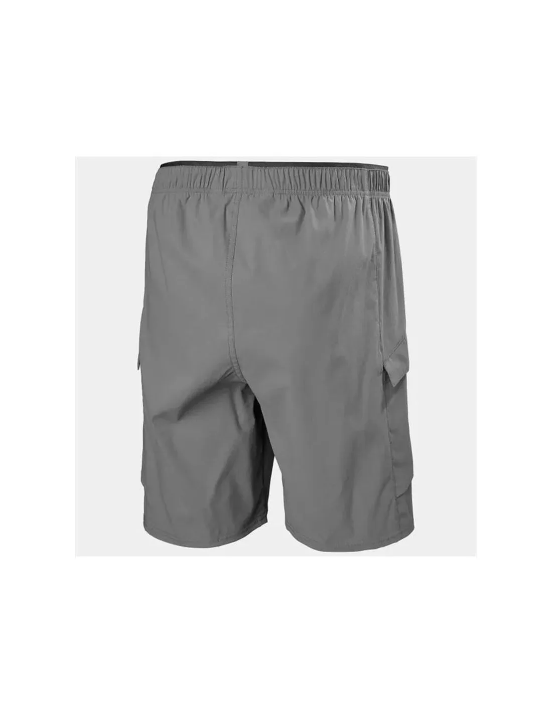 Pantalones de Montaña Helly Hansen Vista Hike Cargo Hombre Gris