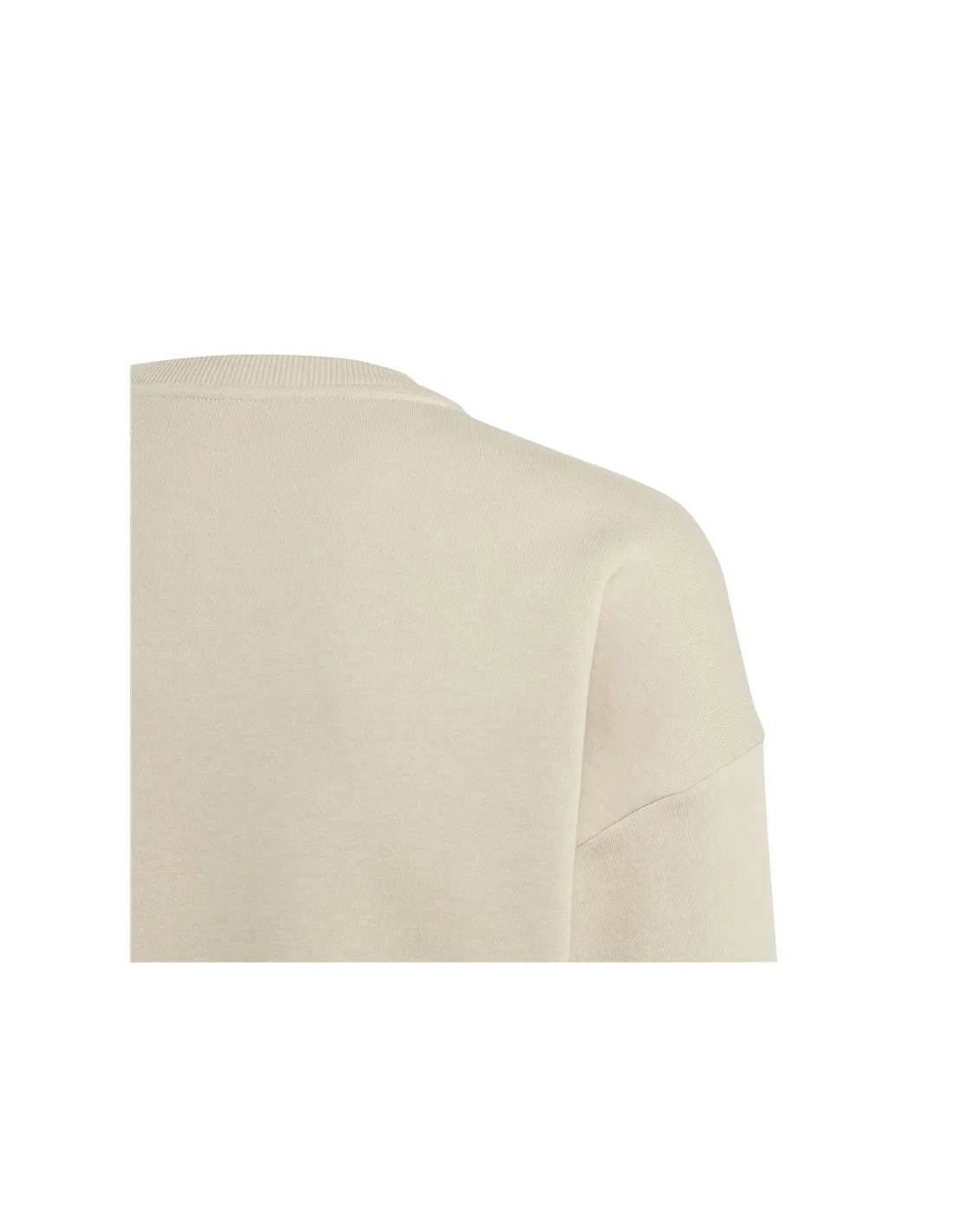 Sudadera adidas All Szn Crew Infantil