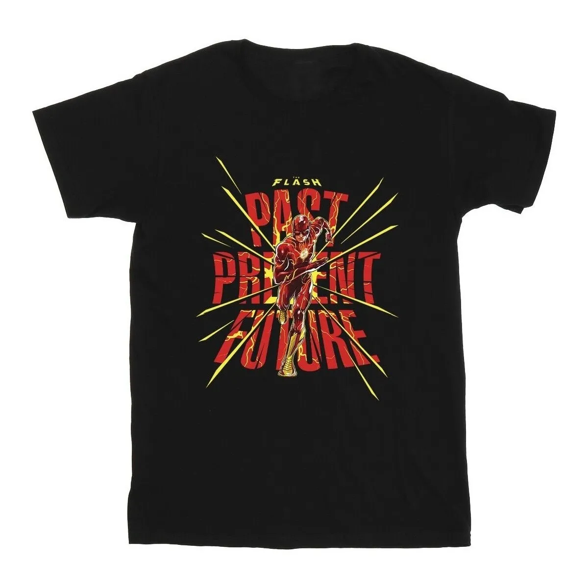 The Flash Past Present Future