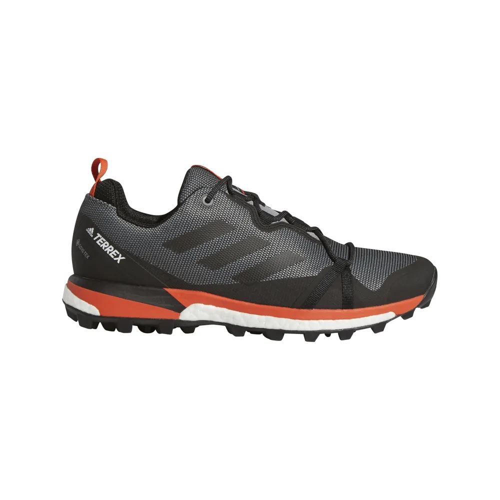 ZAPATILLA TERREX SKYCHASER LT GTX  F36101