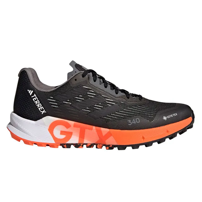 Zapatillas adidas Terrex Agravic Flow 2 Gtx